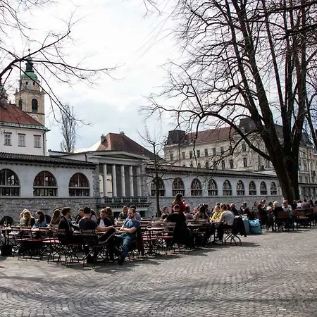 Ella's River ليوبليانا