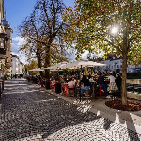 Ella's River アパート *